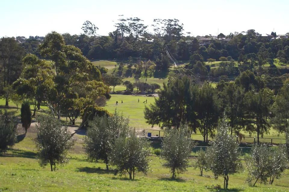 Bardwell Valley golf course, Sydney, Australia.